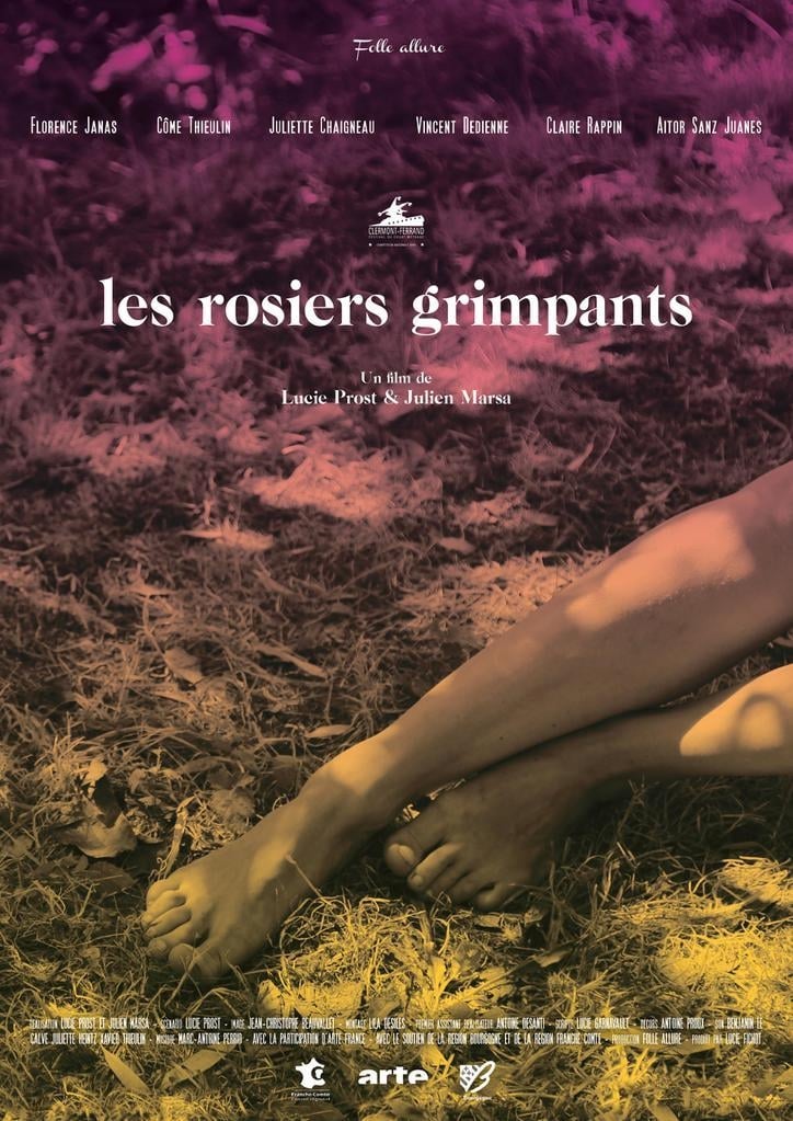 постер Les Rosiers Grimpants